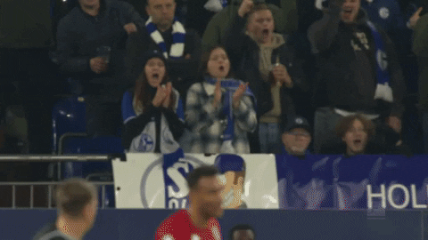 Come On Football GIF by FC Schalke 04