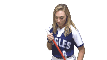 Softball Broom Sticker by Carson-Newman Athletics