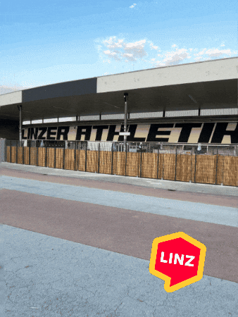Sport Soccer GIF by Linz News