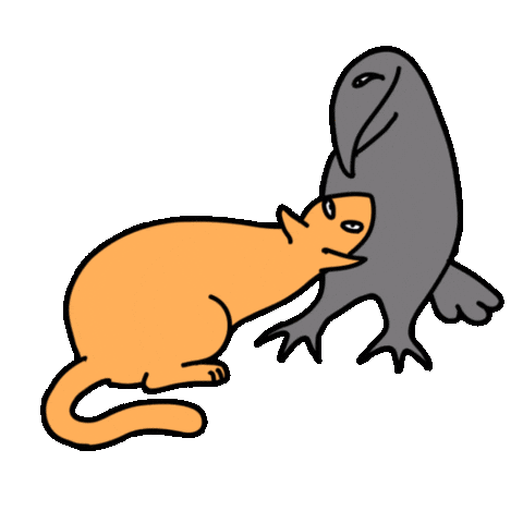vmumok giphyupload cat crow vmumok Sticker