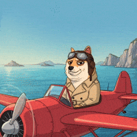 Flying Shiba Inu GIF by Doge Pound
