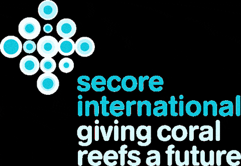 secoreinternational giphygifmaker logo donate coral GIF