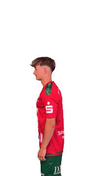 Boysingreen Sticker by SK St. Johann