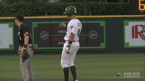 baseball wave GIF by GreenWave