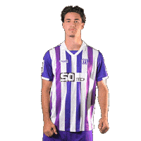 Tor Osna Sticker by VfLOsnabrueck