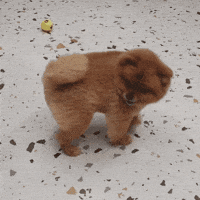Happy Round And Round GIF