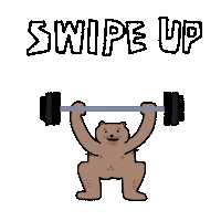 fartynrabbie gym swipe up bear swipeup Sticker