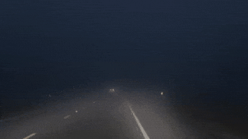 Thick Fog Lowers Visibility on Texas Roads