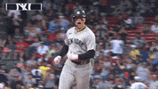 Yelling Major League Baseball GIF by MLB