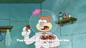 season 9 episode 25 GIF by SpongeBob SquarePants