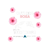 Outubrorosa Sticker by TecnoSeg