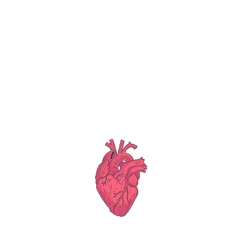 qubensis giphyupload love heart amor Sticker