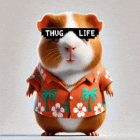 Dance Fun GIF by Guinea Gambino