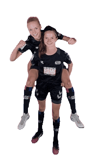 Svhufrauen Sticker by svhufussball