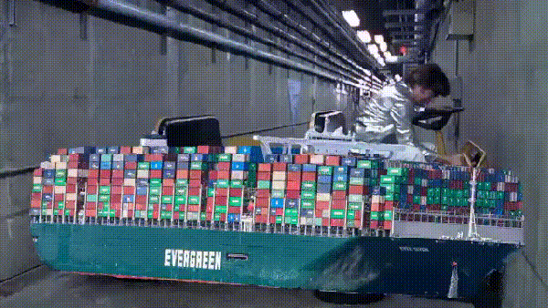 Roosterioi giphyupload GIF