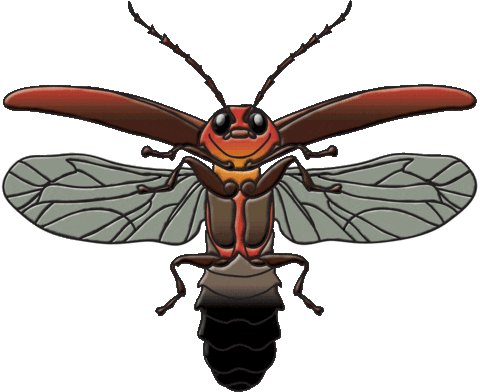 firefly STICKER