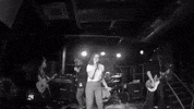 live music band GIF by Infinity Cat Recordings