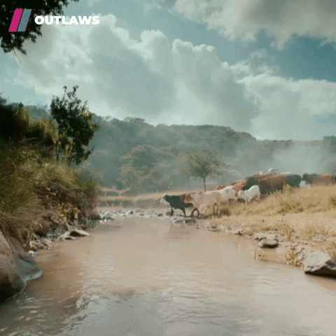 Water Lmao GIF by Showmax