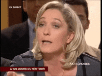 marine le pen archive GIF by franceinfo
