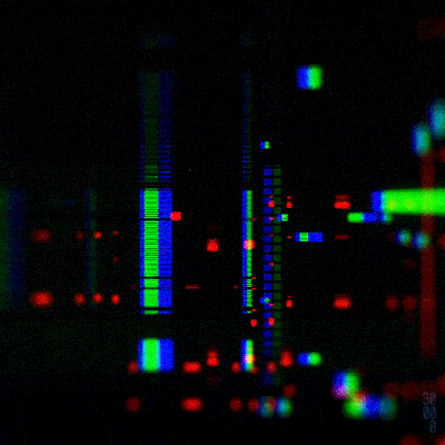 alejandropuga giphyupload neon GIF