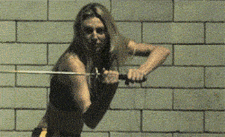 swordplay GIF