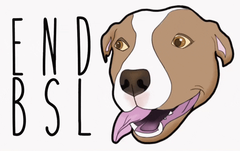 jessmoran14 pitbull pittie end bsl GIF