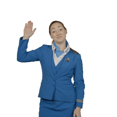 Happy Cabin Crew Sticker by KLM
