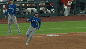 Blue Jays Celebration GIF by Toronto Blue Jays