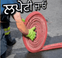 Comic Singh GIF