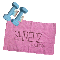 Sweat Dumbbells Sticker by Natalie Obando