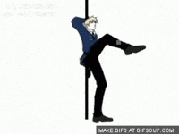 pole GIF