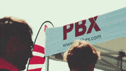 Palibex summer beach verano playa GIF