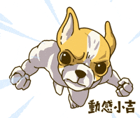 Animation Dog GIF
