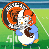 Touch Down Super Bowl GIF by Pudgy Penguins