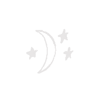 Star Moon Sticker