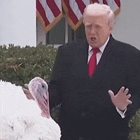 Donald Trump Thanksgiving GIF by Respective