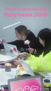 thedigitalfairy  GIF