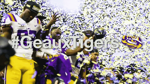 College Sports Football GIF by LSU Tigers