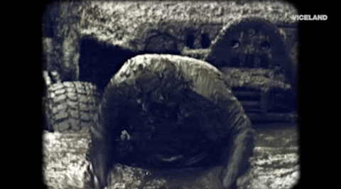 GIF by Dead Set on Life