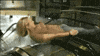 Helicopter Everybody GIF
