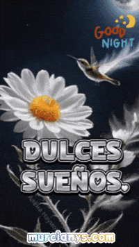 Te Dejo Good Night GIF by Murcianys LLC
