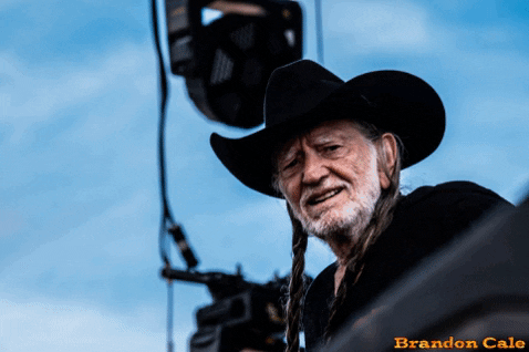 brandoncale giphygifmaker willie nelson lockn brandon cale GIF