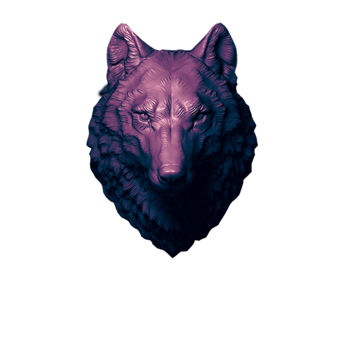 whcreative giphyupload wolf jangwoohyuk 장우혁 Sticker