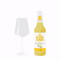 Drink Cheers GIF by Soda Libre