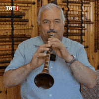Instrument Melody GIF by TRT