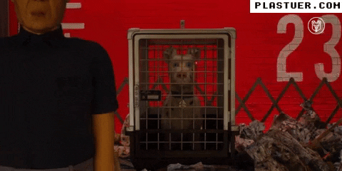 giphyupload GIF