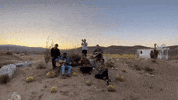 Daytrippin GIF by Iration