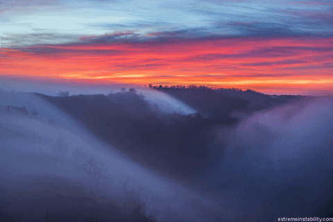 sunrise fog GIF