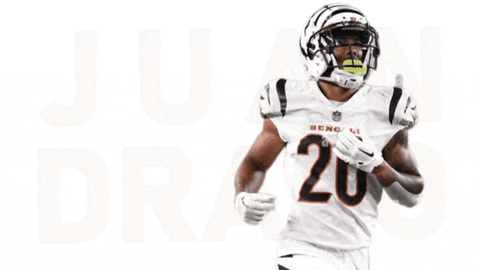 chriswesselman  GIF