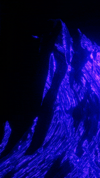 Render High Definition GIF by time